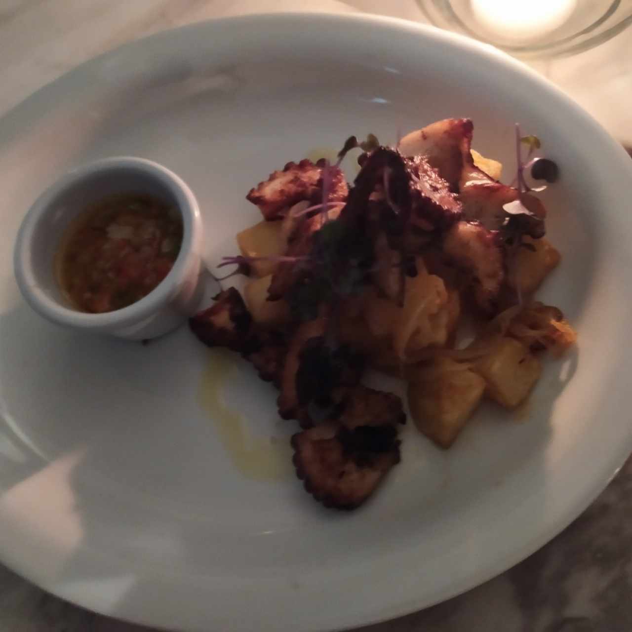 pulpo de la casa