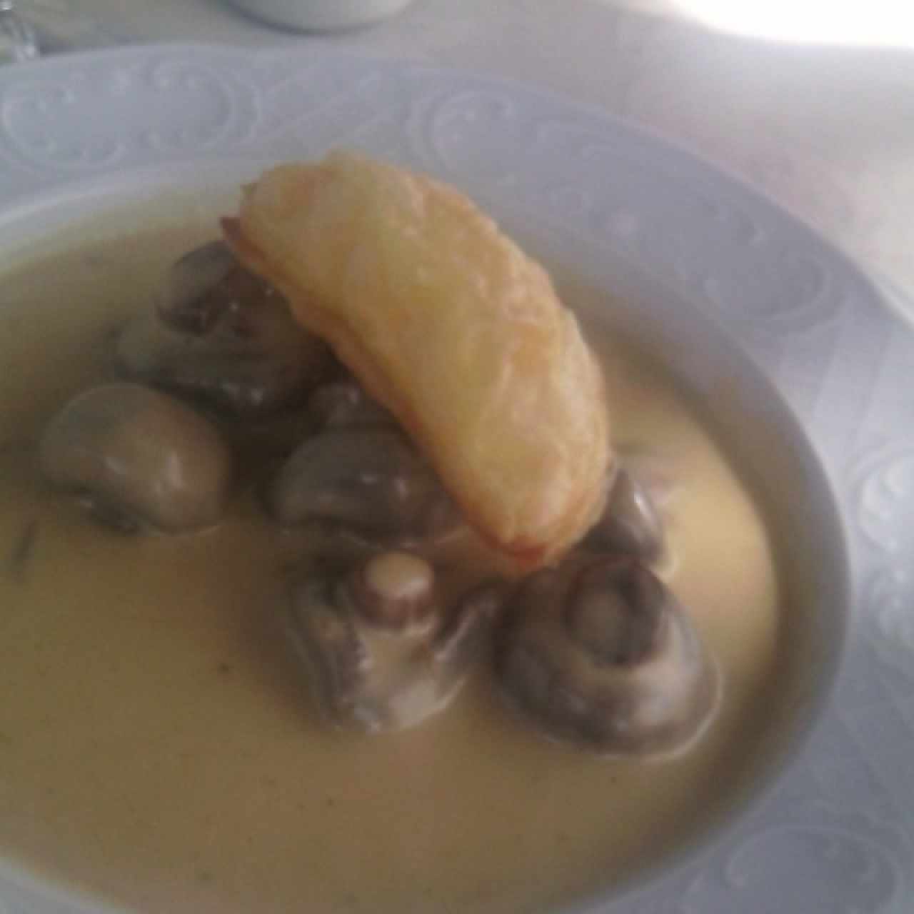 champiñones 
