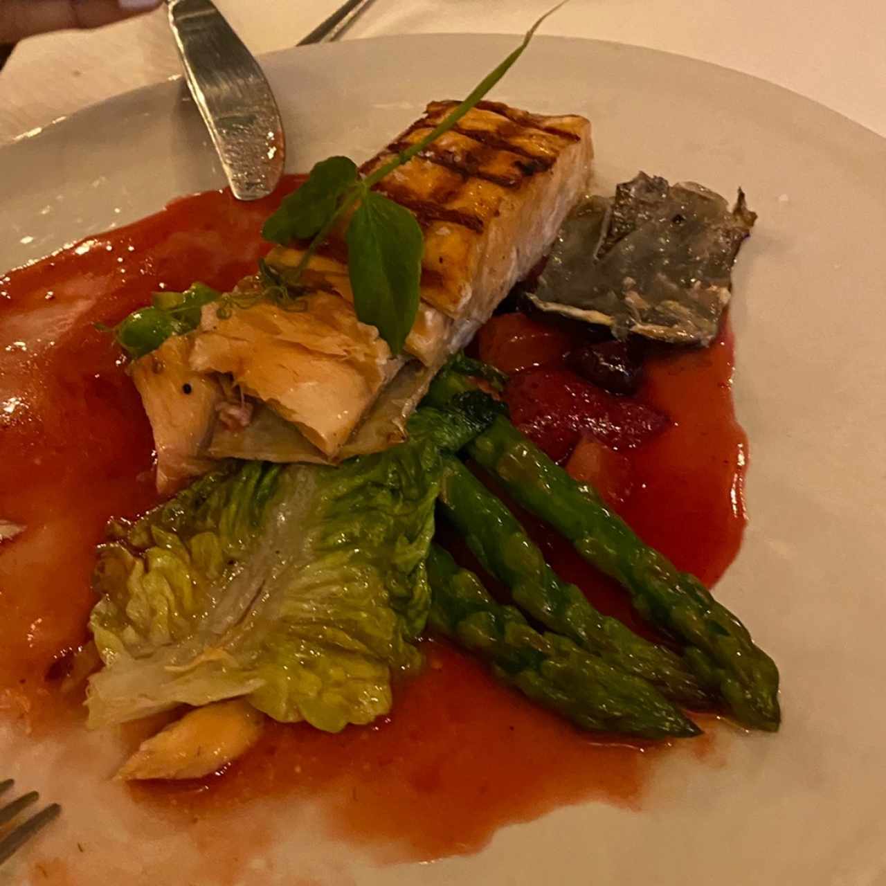 Salmon