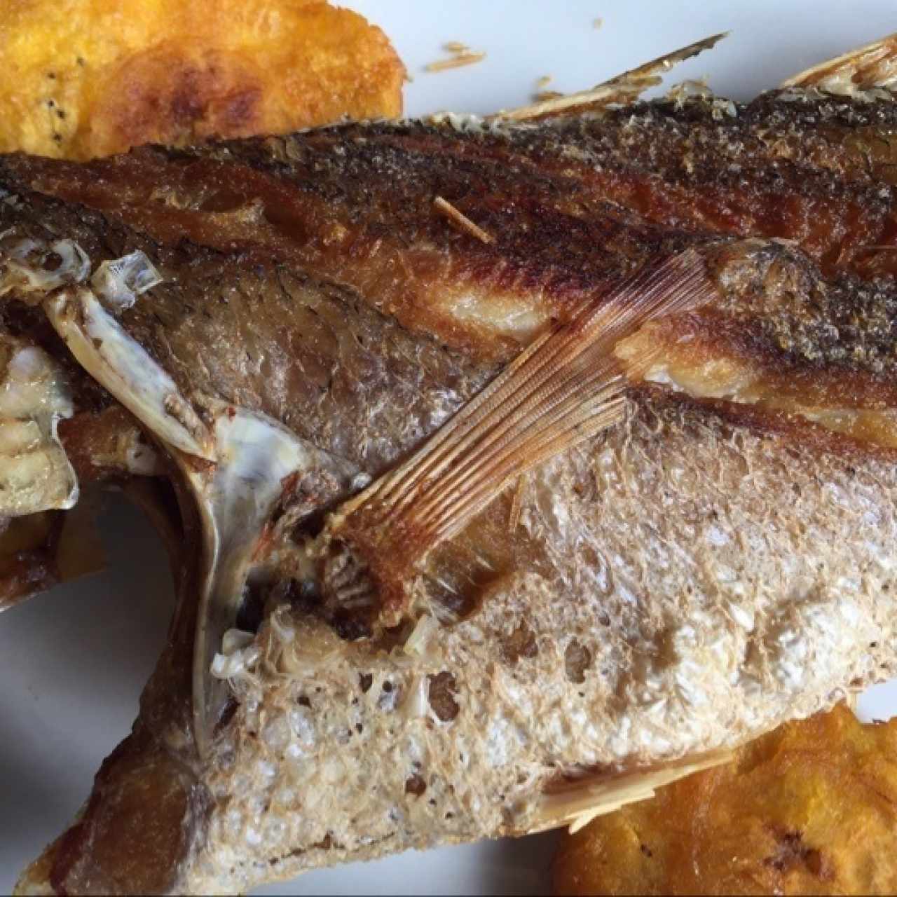 Pescado frito