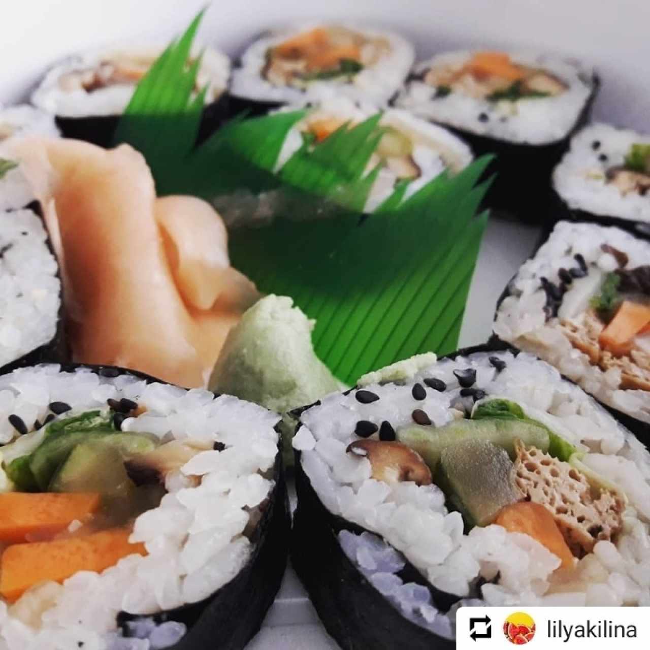 Rollos Maki Vegano
