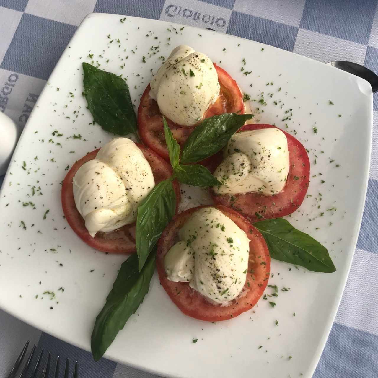 burrata, tomates y albaca 