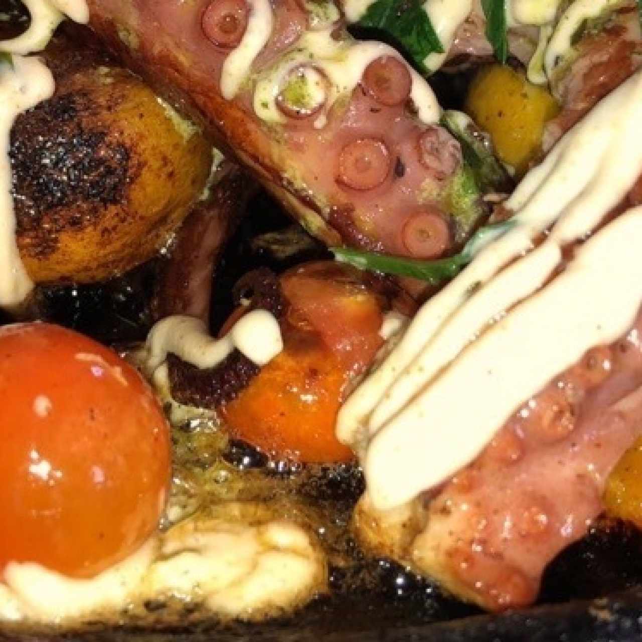 Pulpo