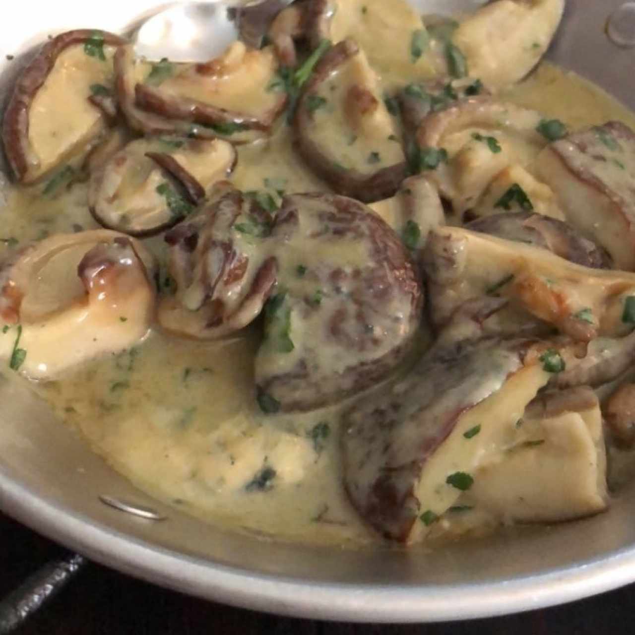 Shitake