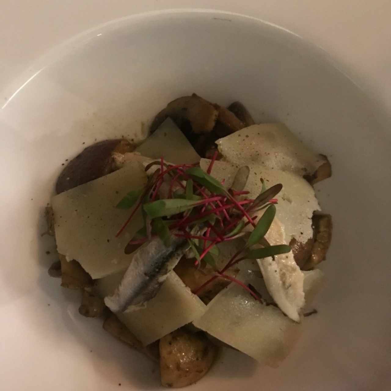 hongos