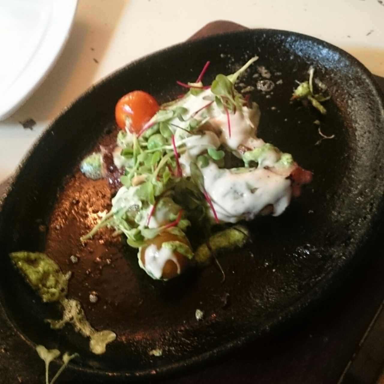 pulpo 🐙 