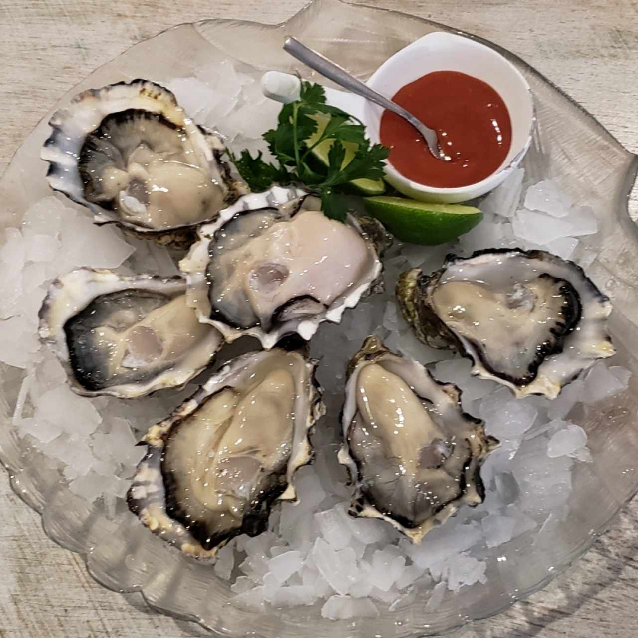 Pacific Oyster 