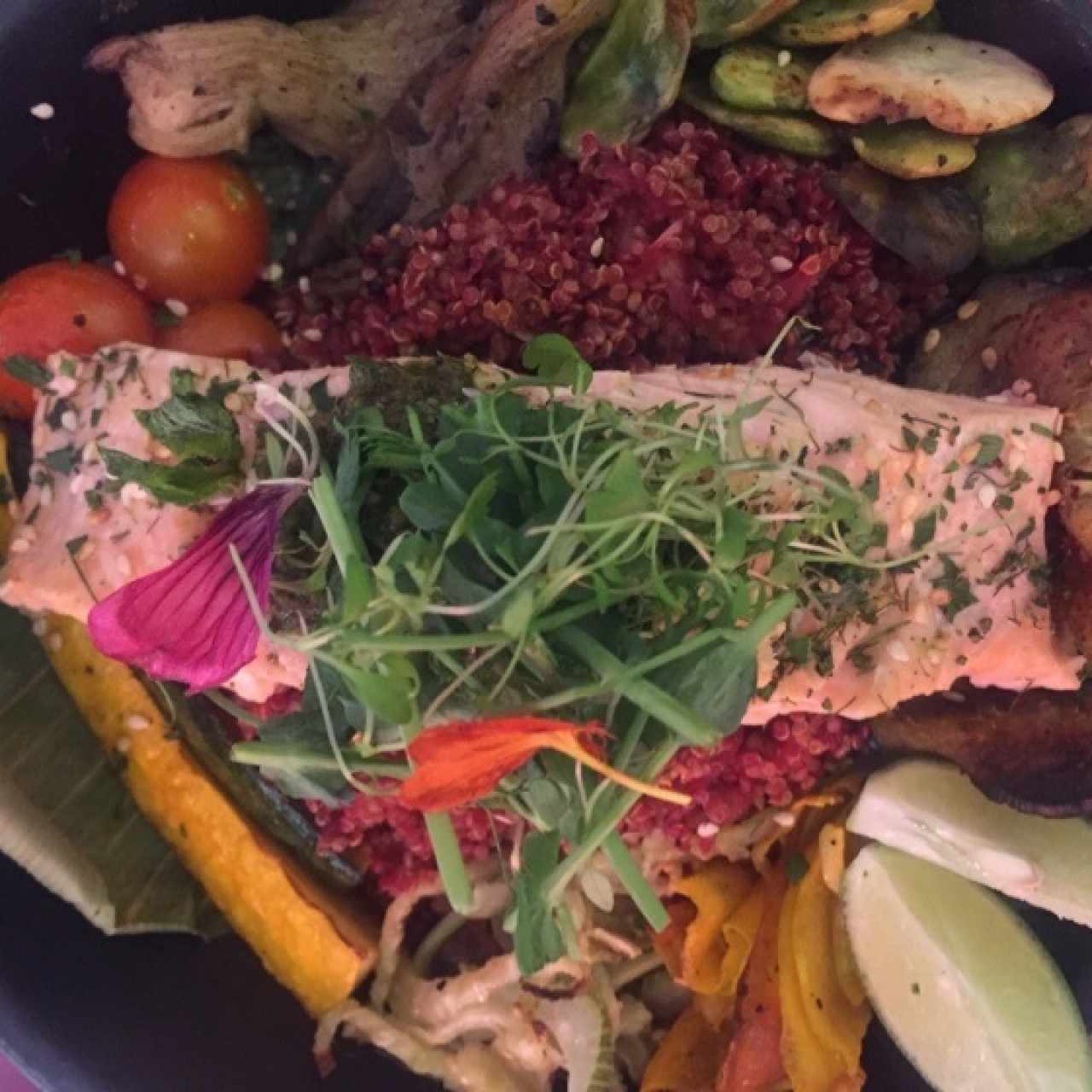 Salmón