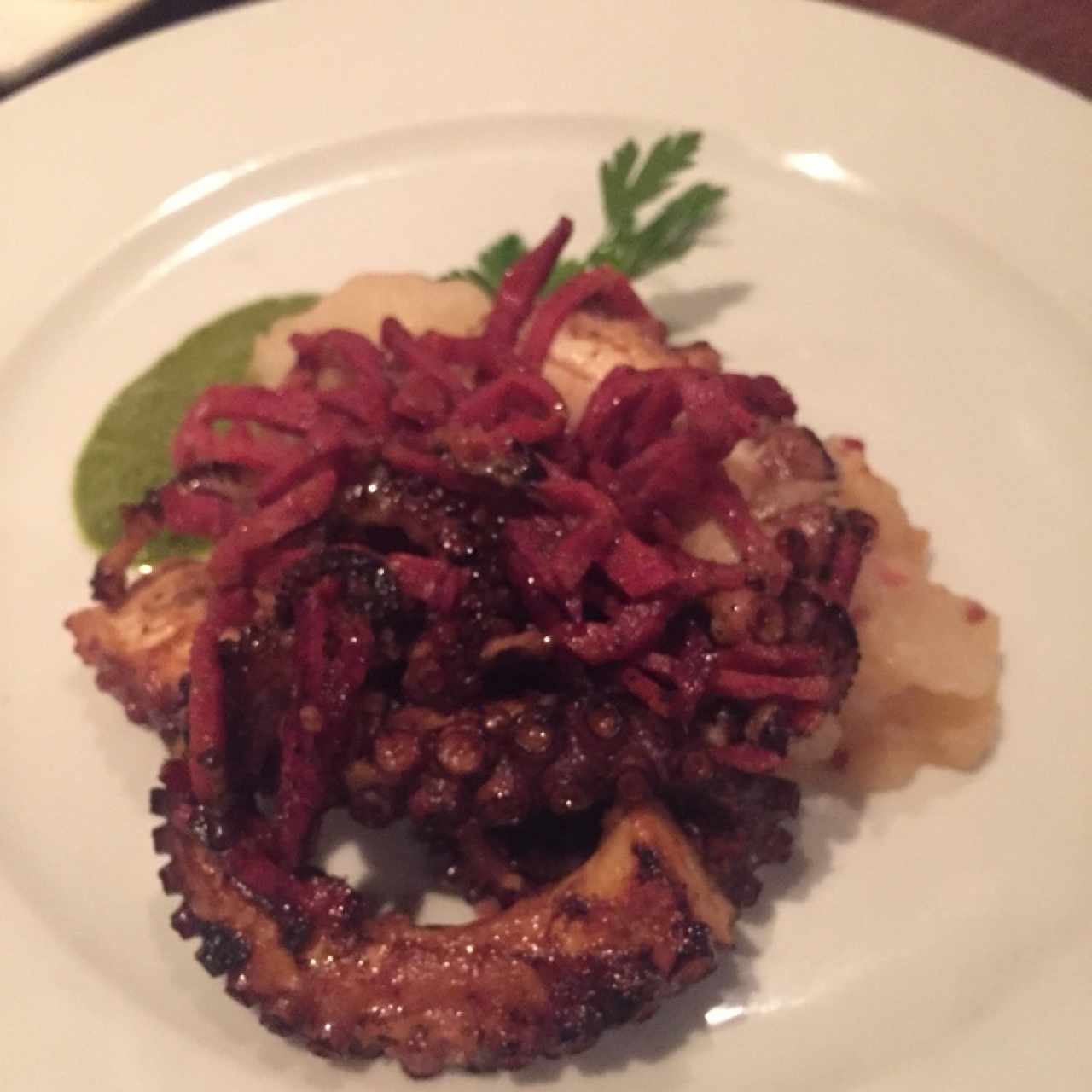 Pulpo