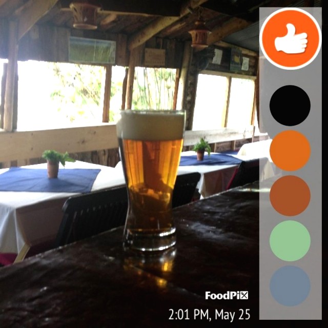Cerveza alemana artesanal de la casa 