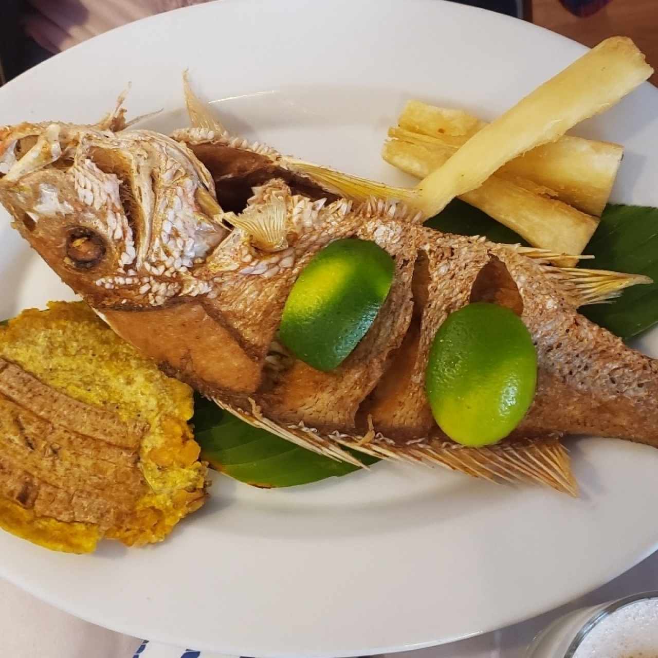 Pargo Rojo