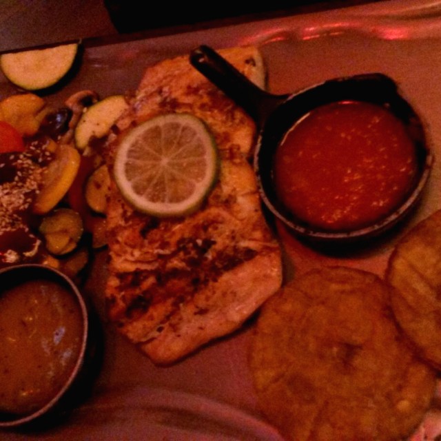 Salmon