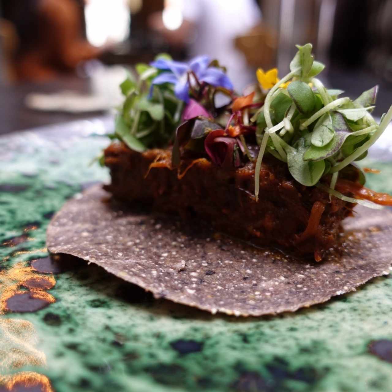 Pebre de pato de patio