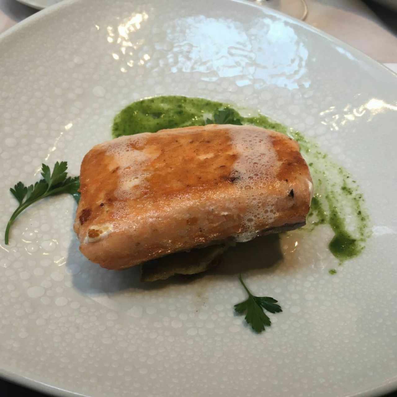 Salmon 