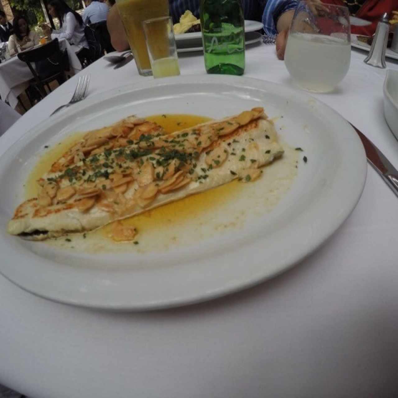 Filete de trucha 