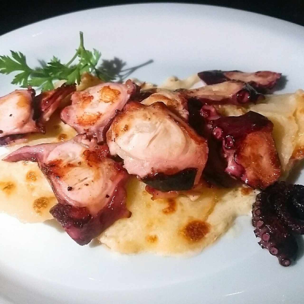 pulpo a la parrilla