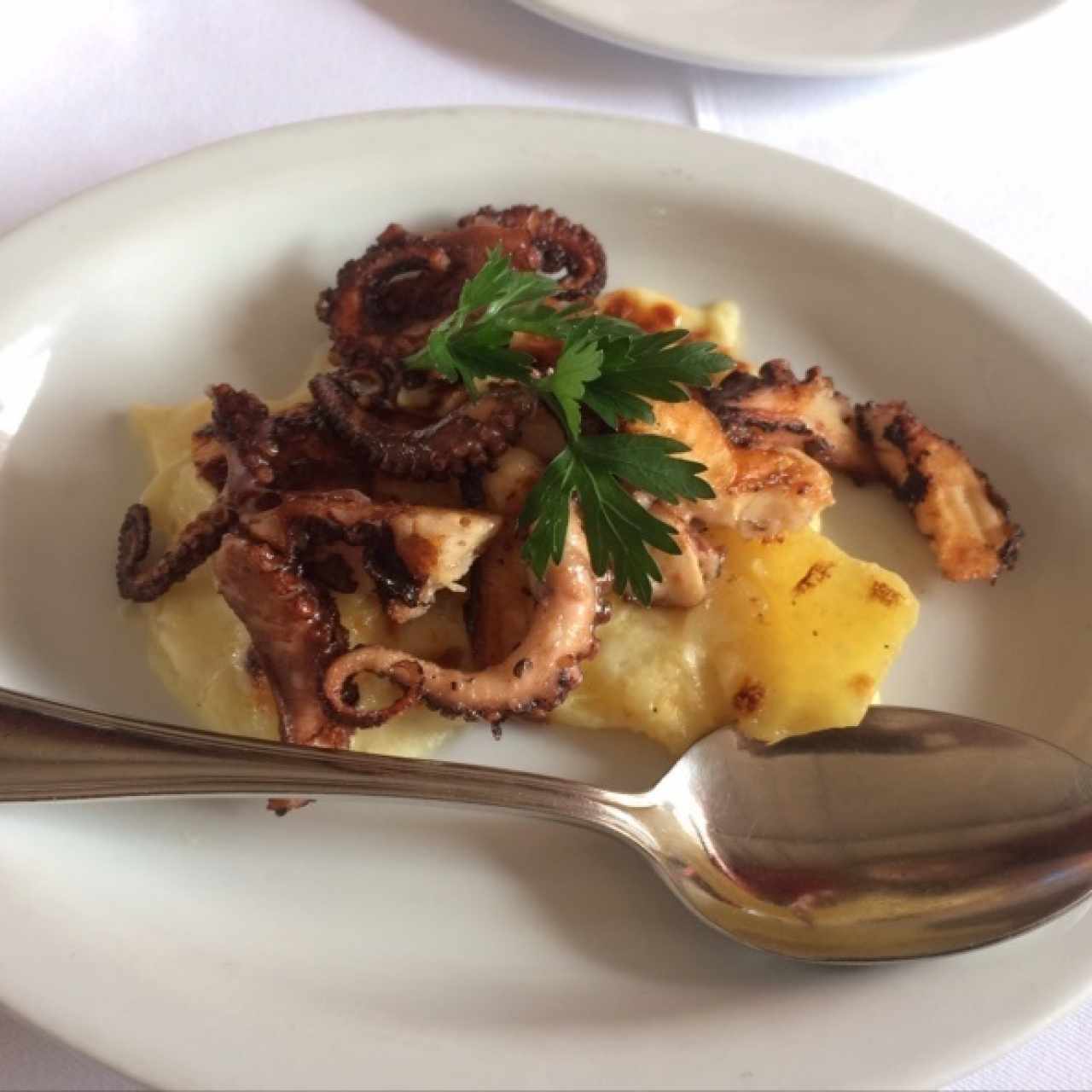 pulpo