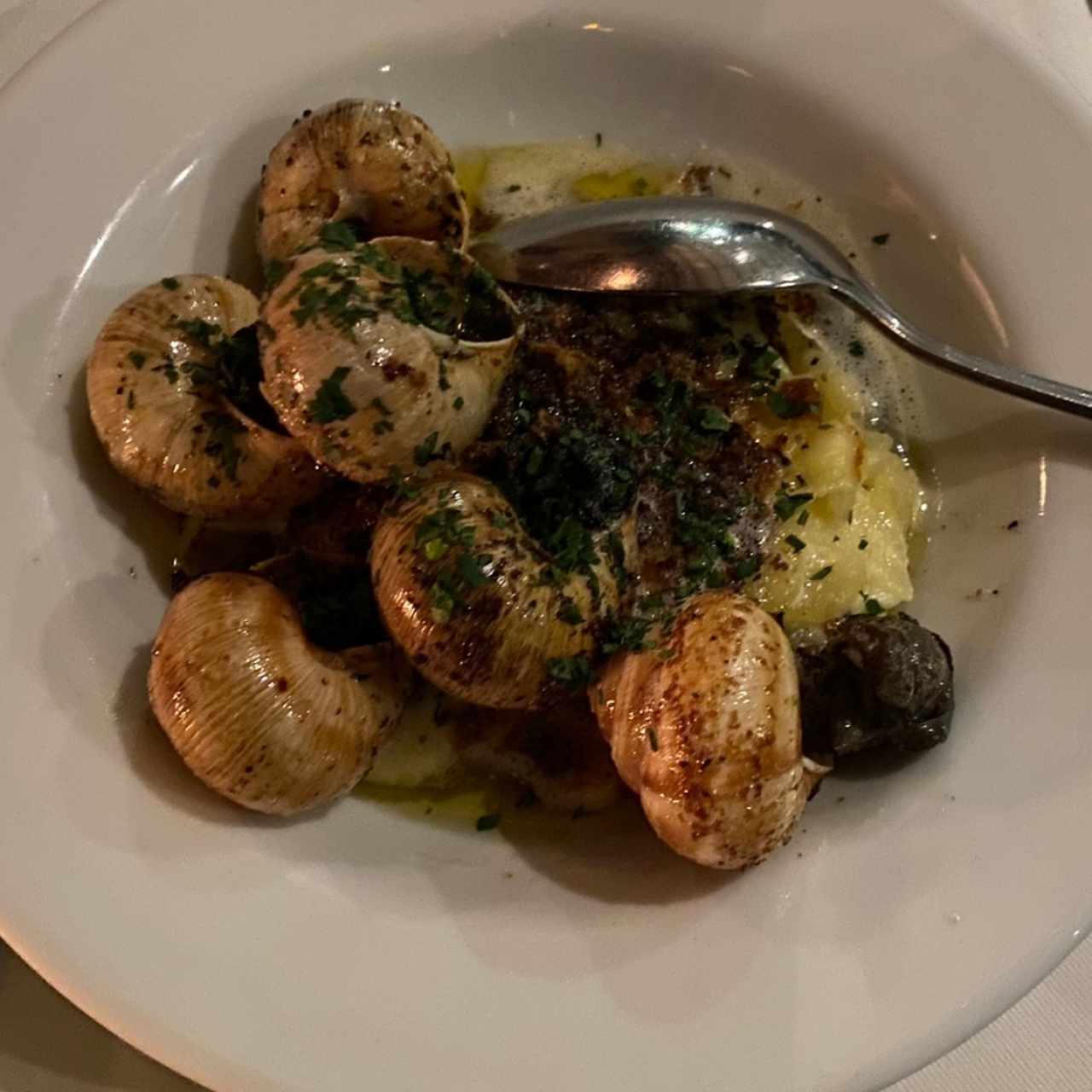 Escargots 