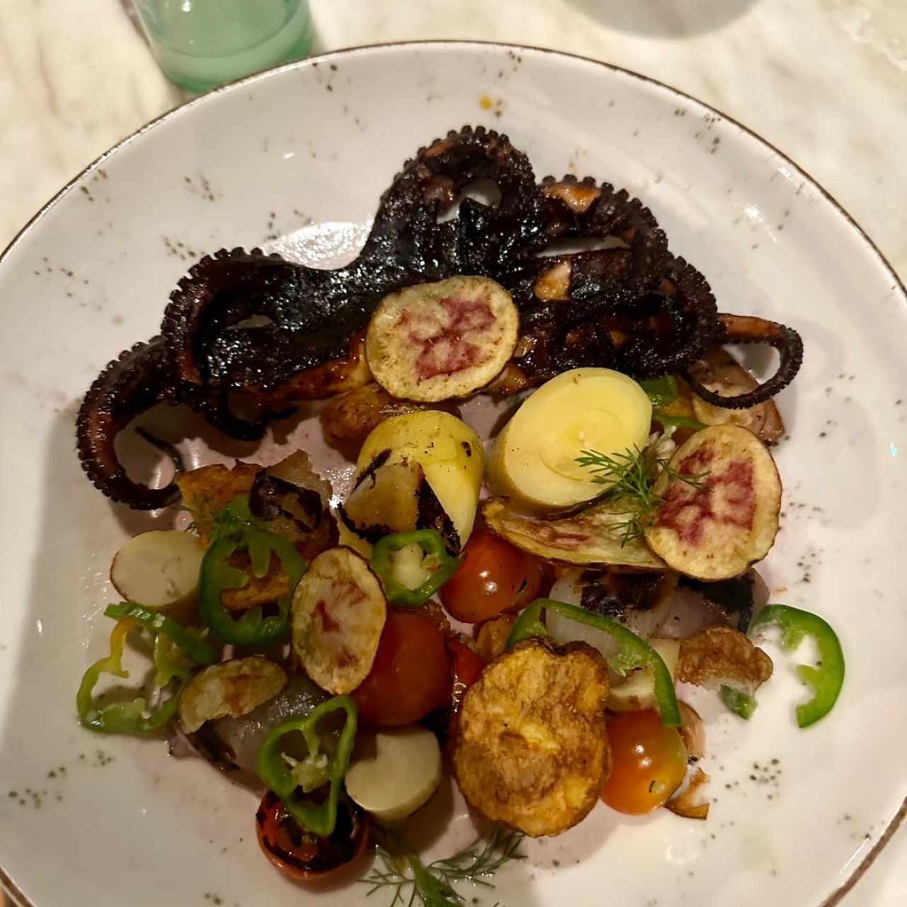 Pulpo