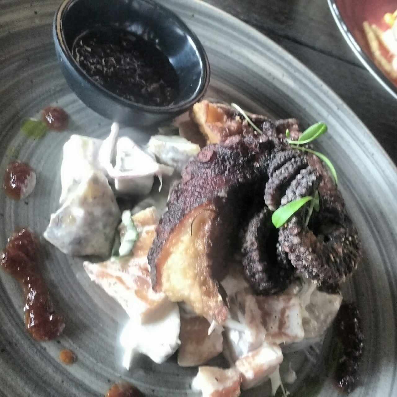 pulpo