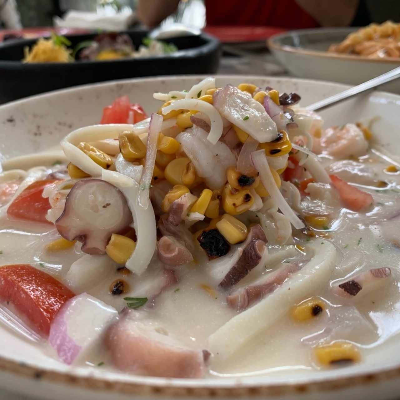 Ceviche Tigre