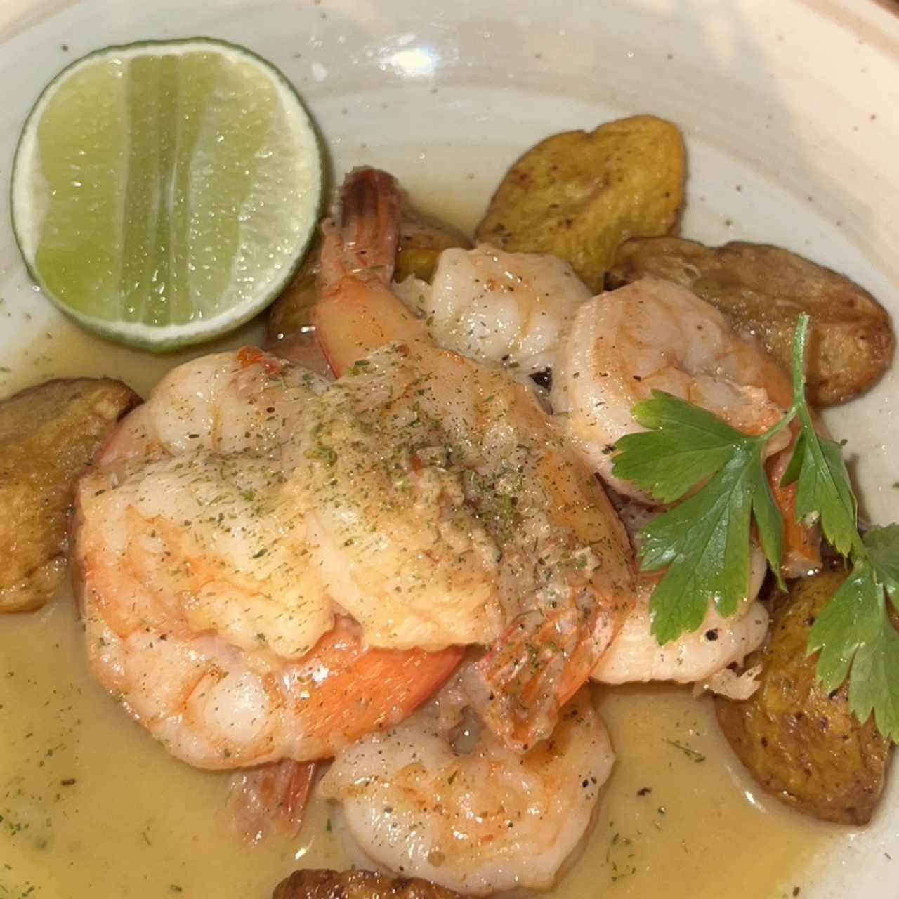 Camarones