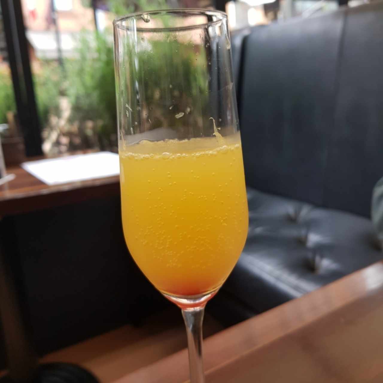 Mimosa