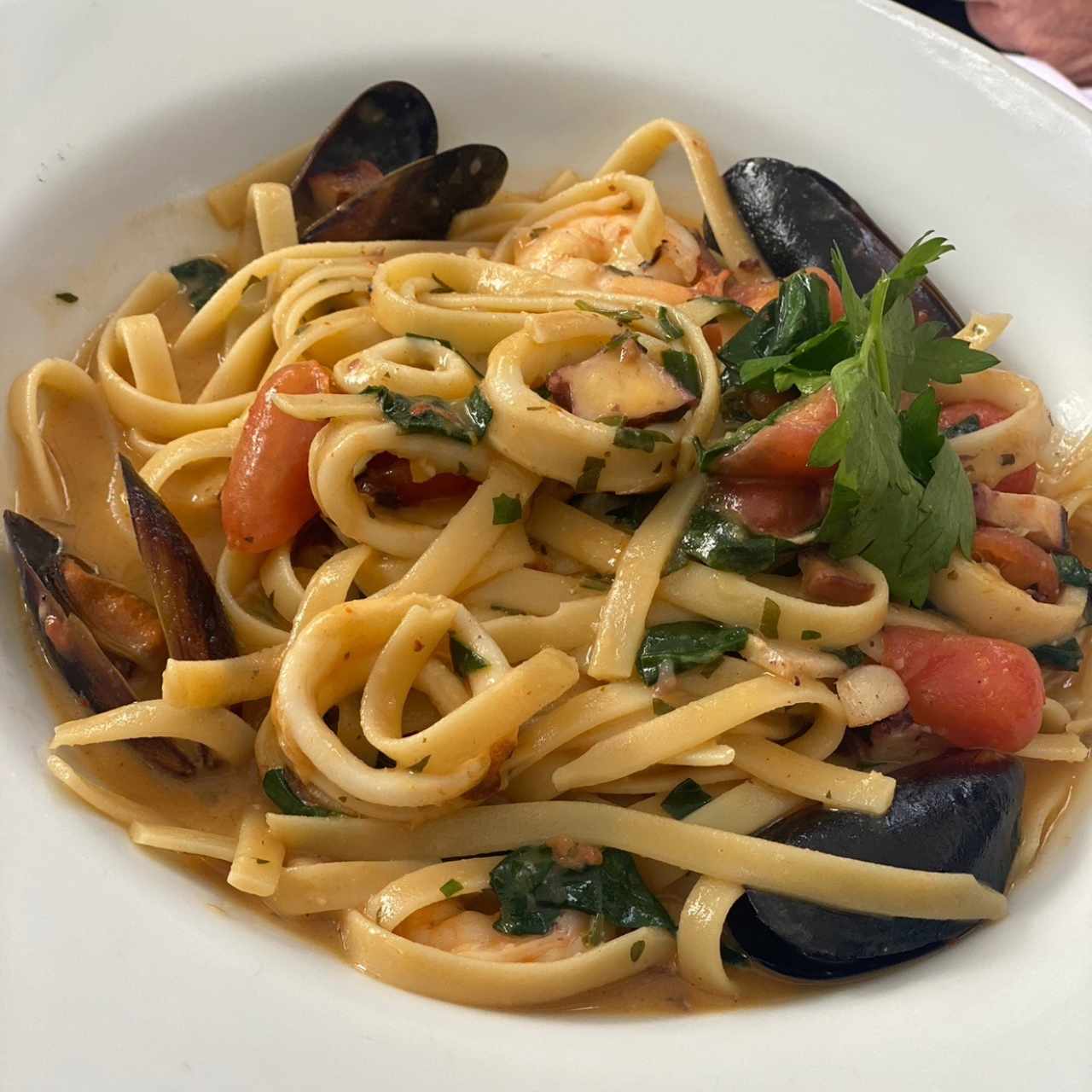 Fetuccini Livornesi