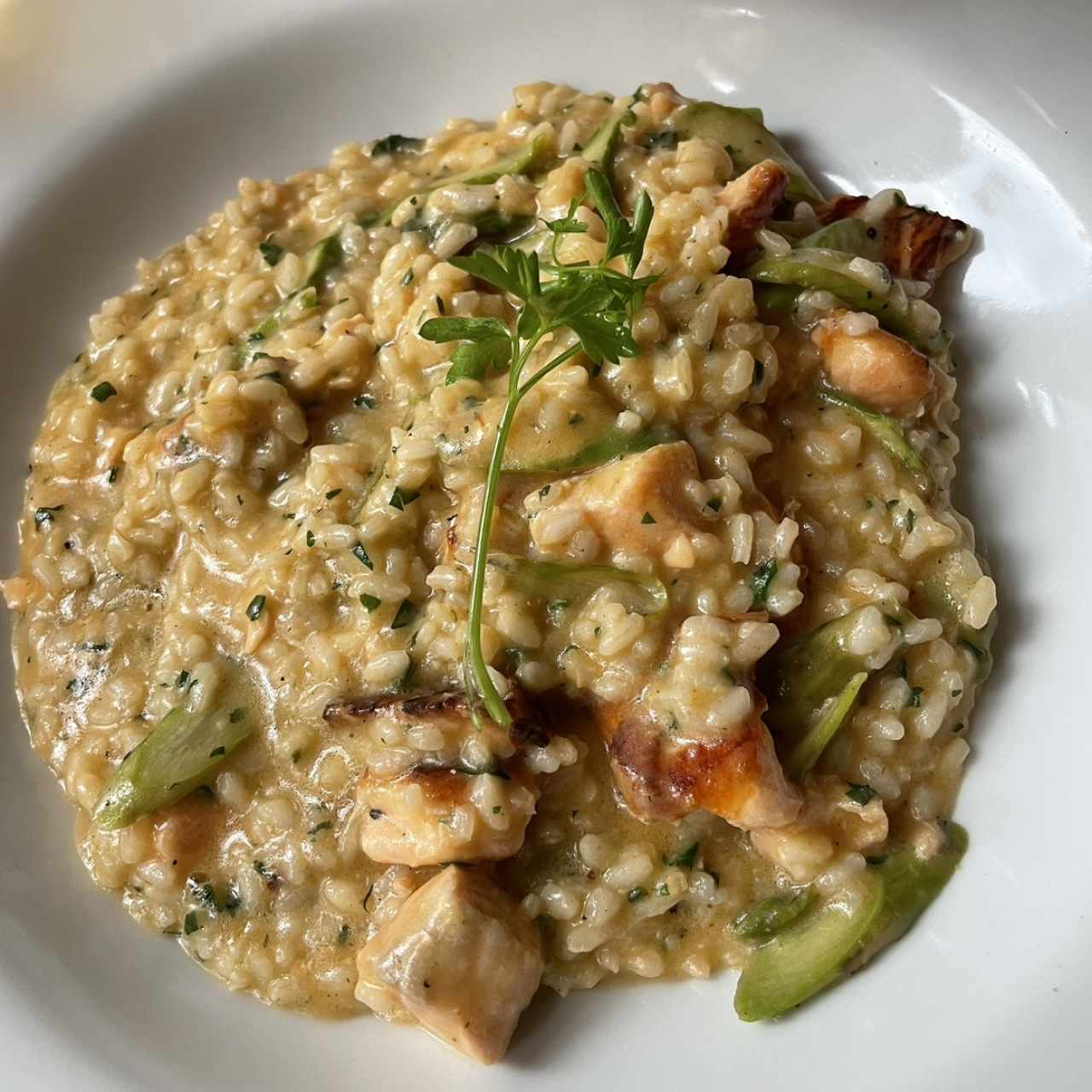 Rissoto de salmon