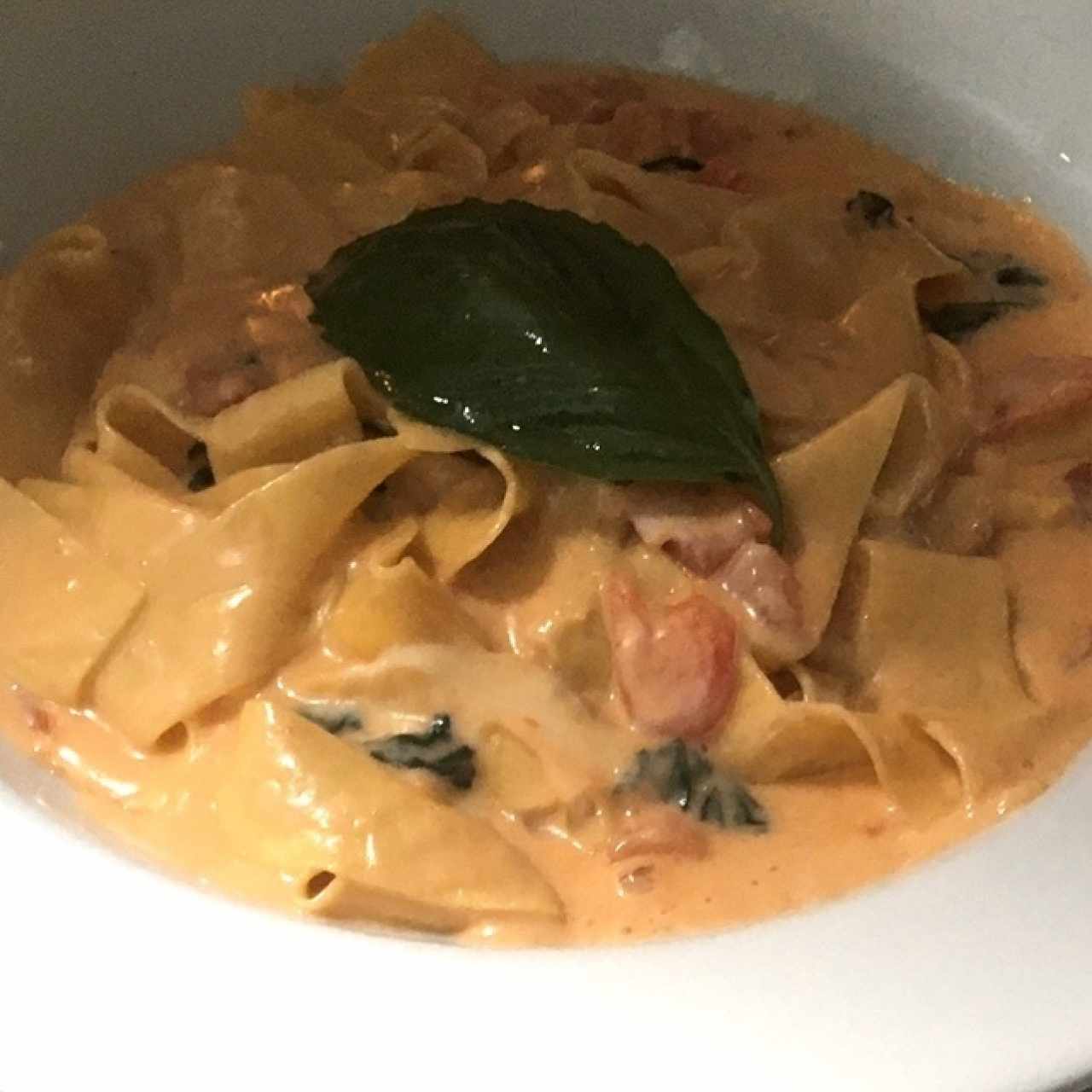 papardelle telefono