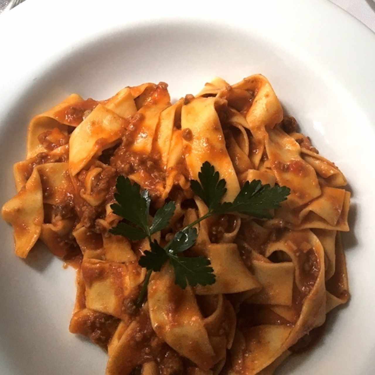 papardelle bolognese
