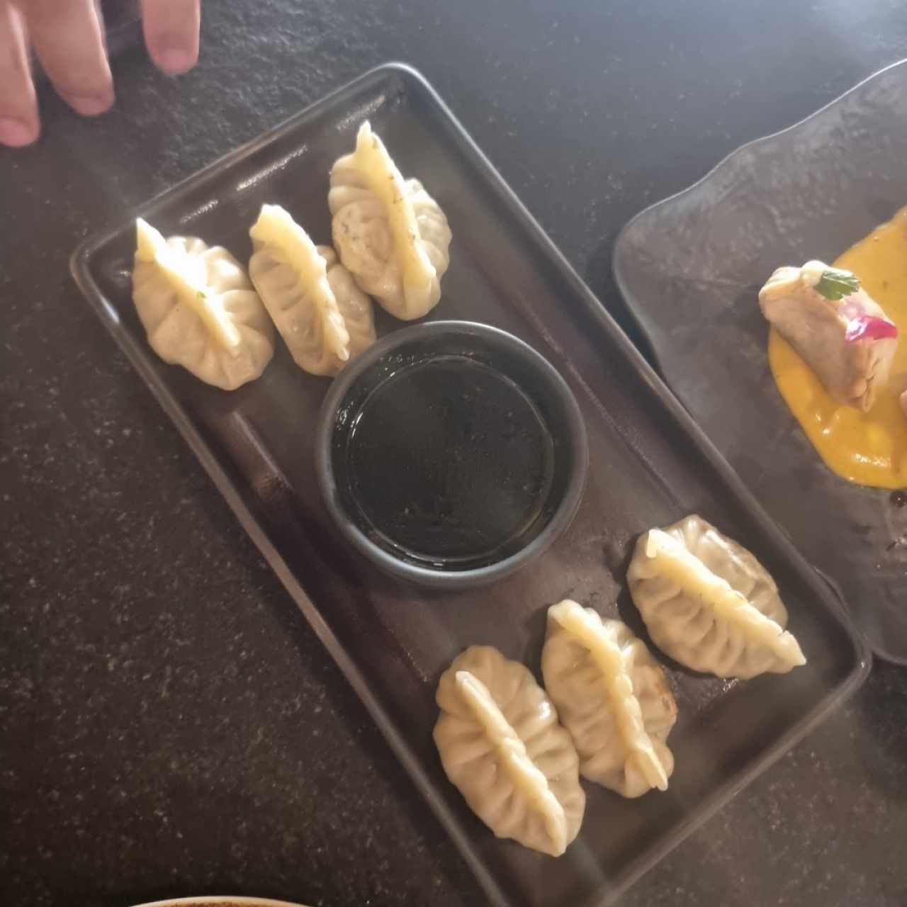 dumplings de pollo