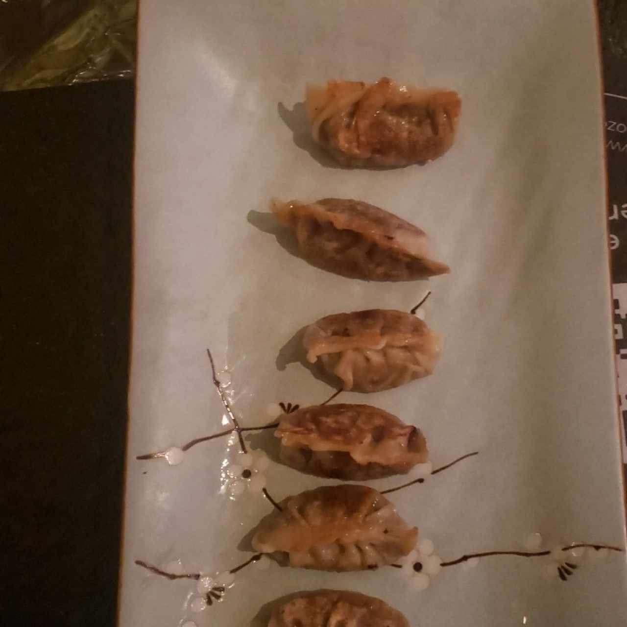 gyozas de paton