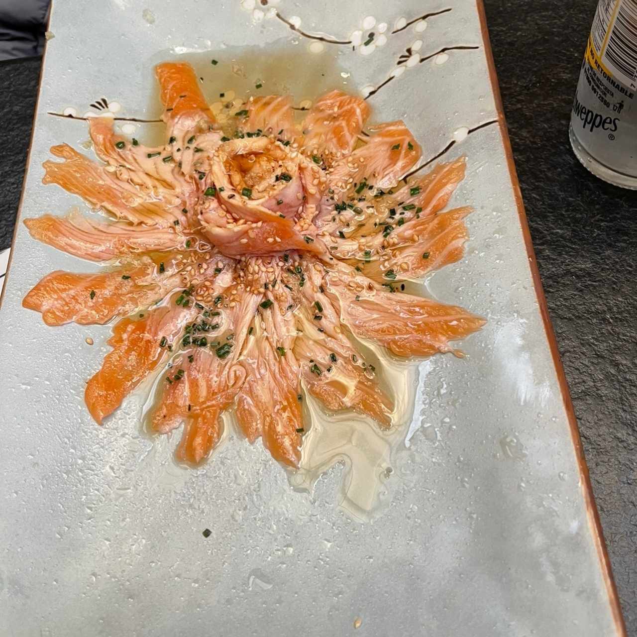 salmon 