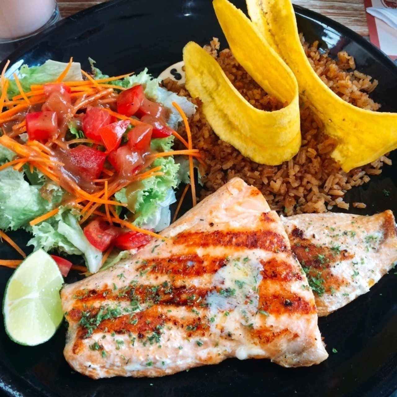 salmon 