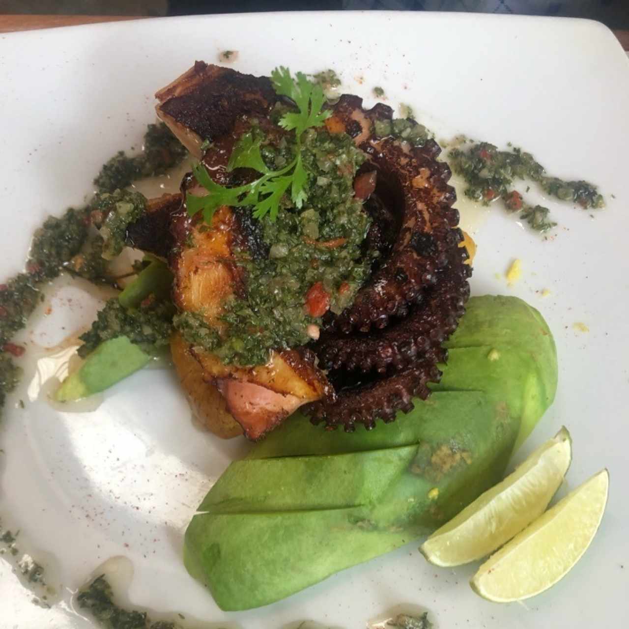 pulpo
