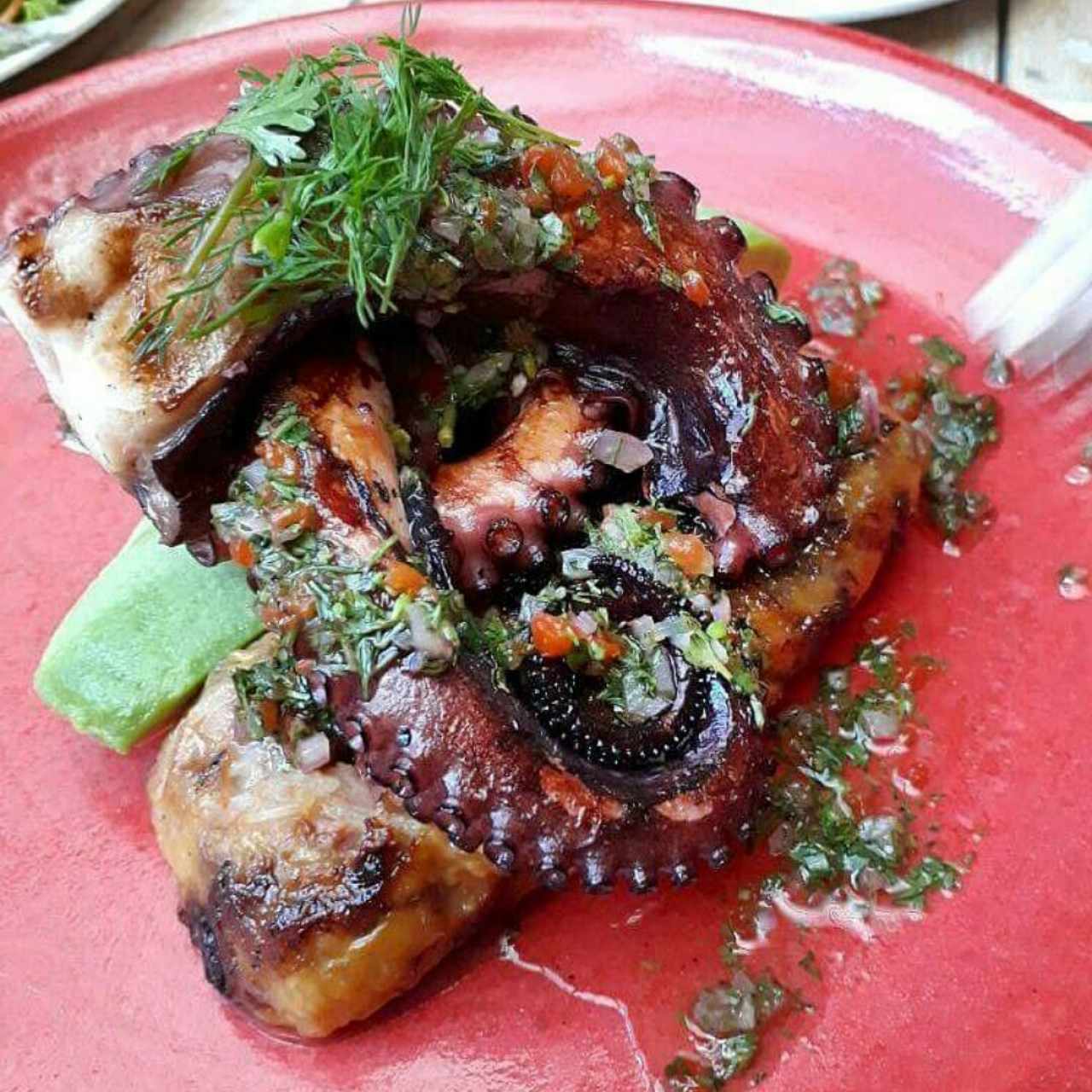 Pulpo
