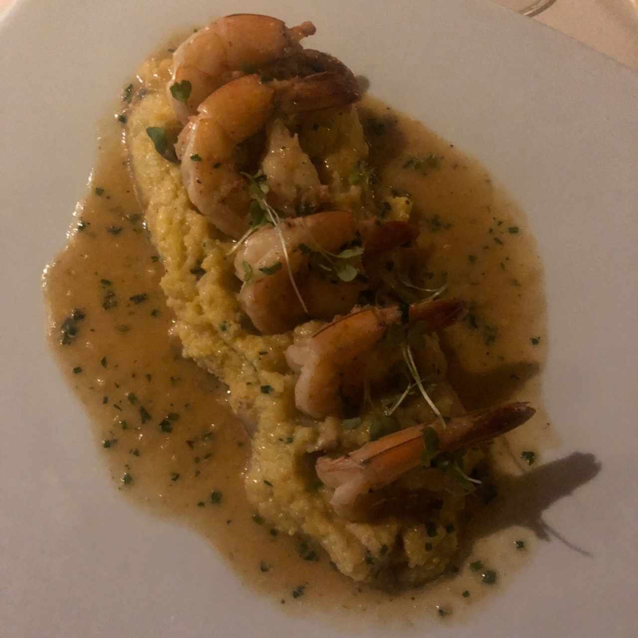 shrimp