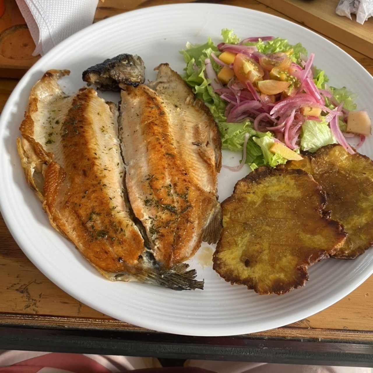 Trucha al ajillo