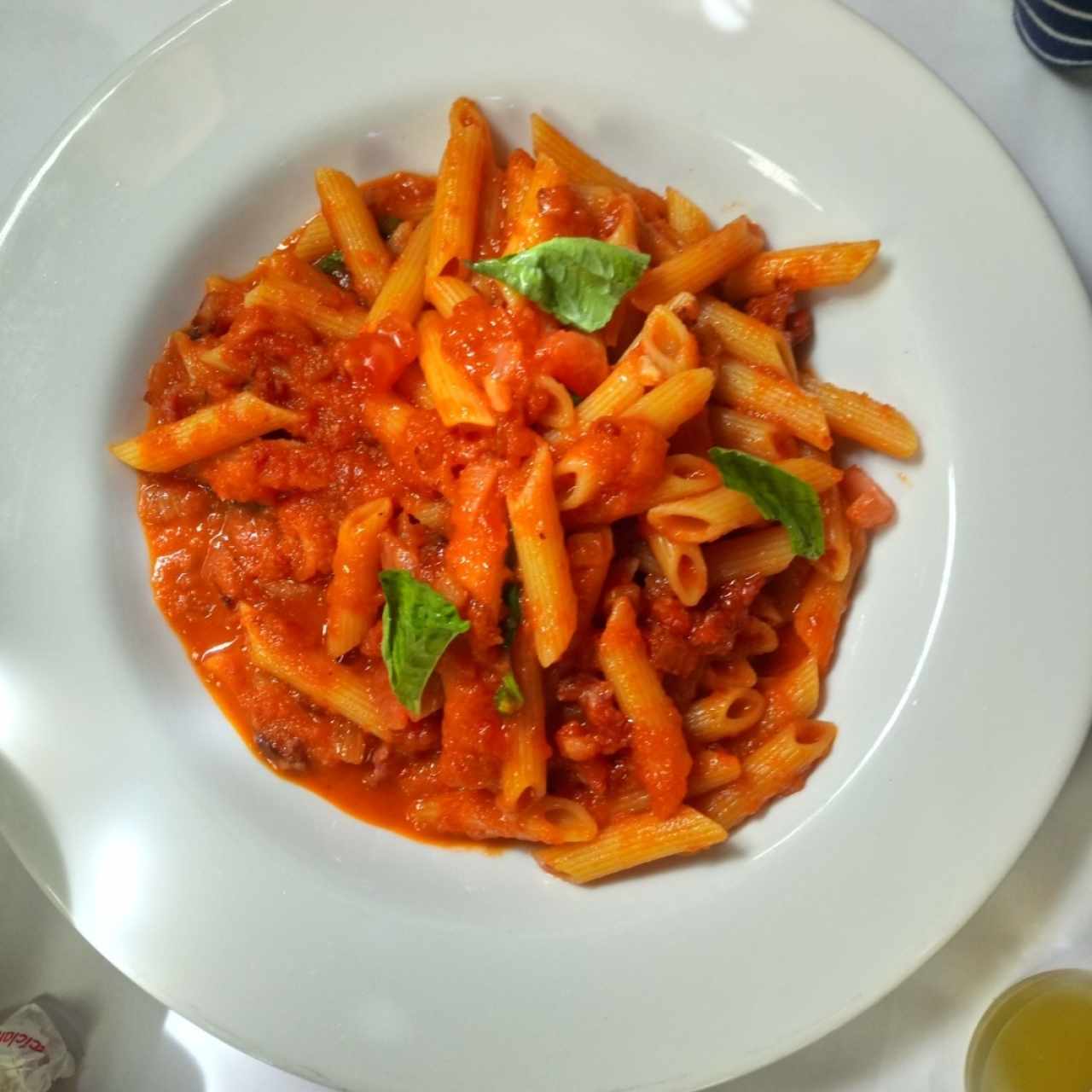 penne amatricciana 