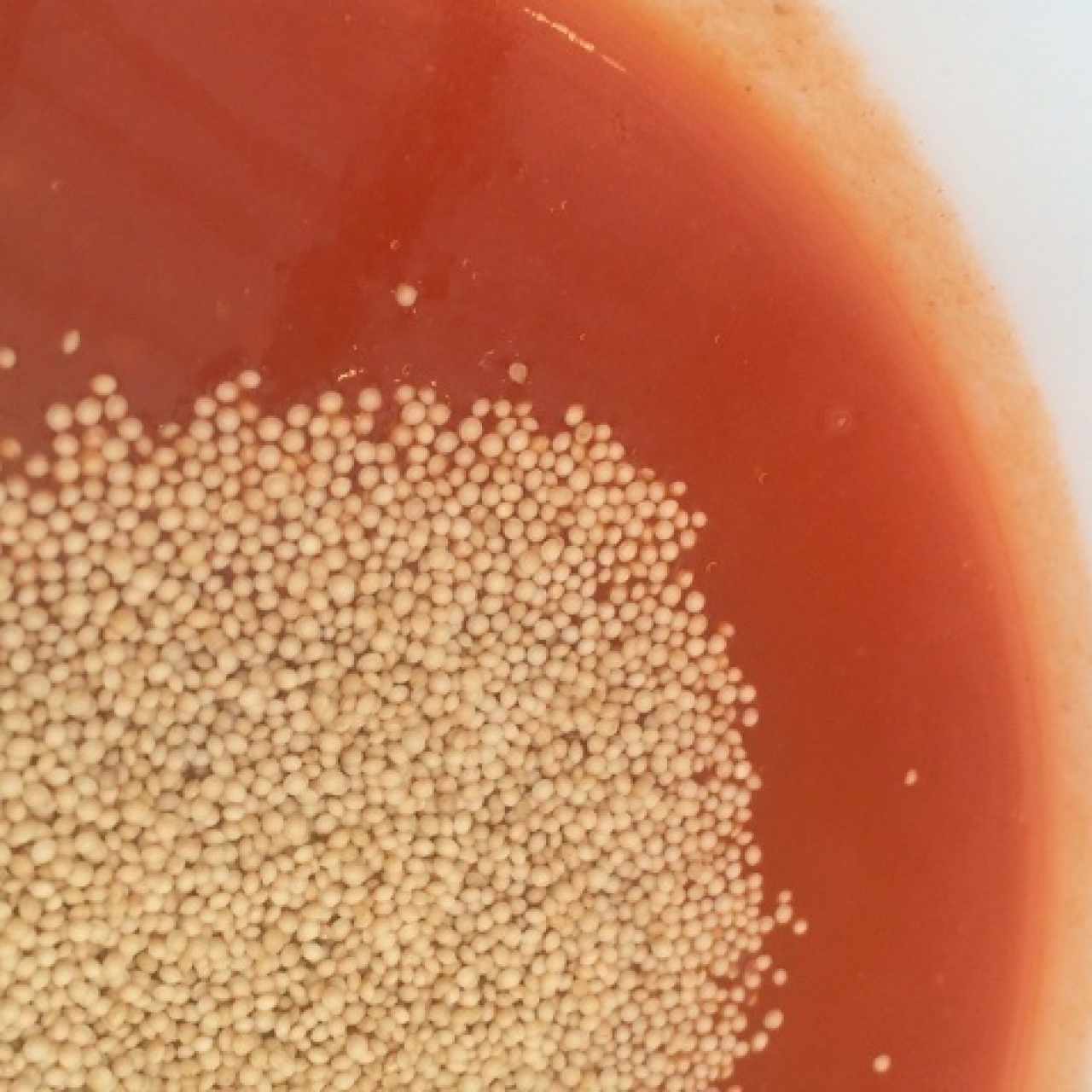 Crema de tomate 