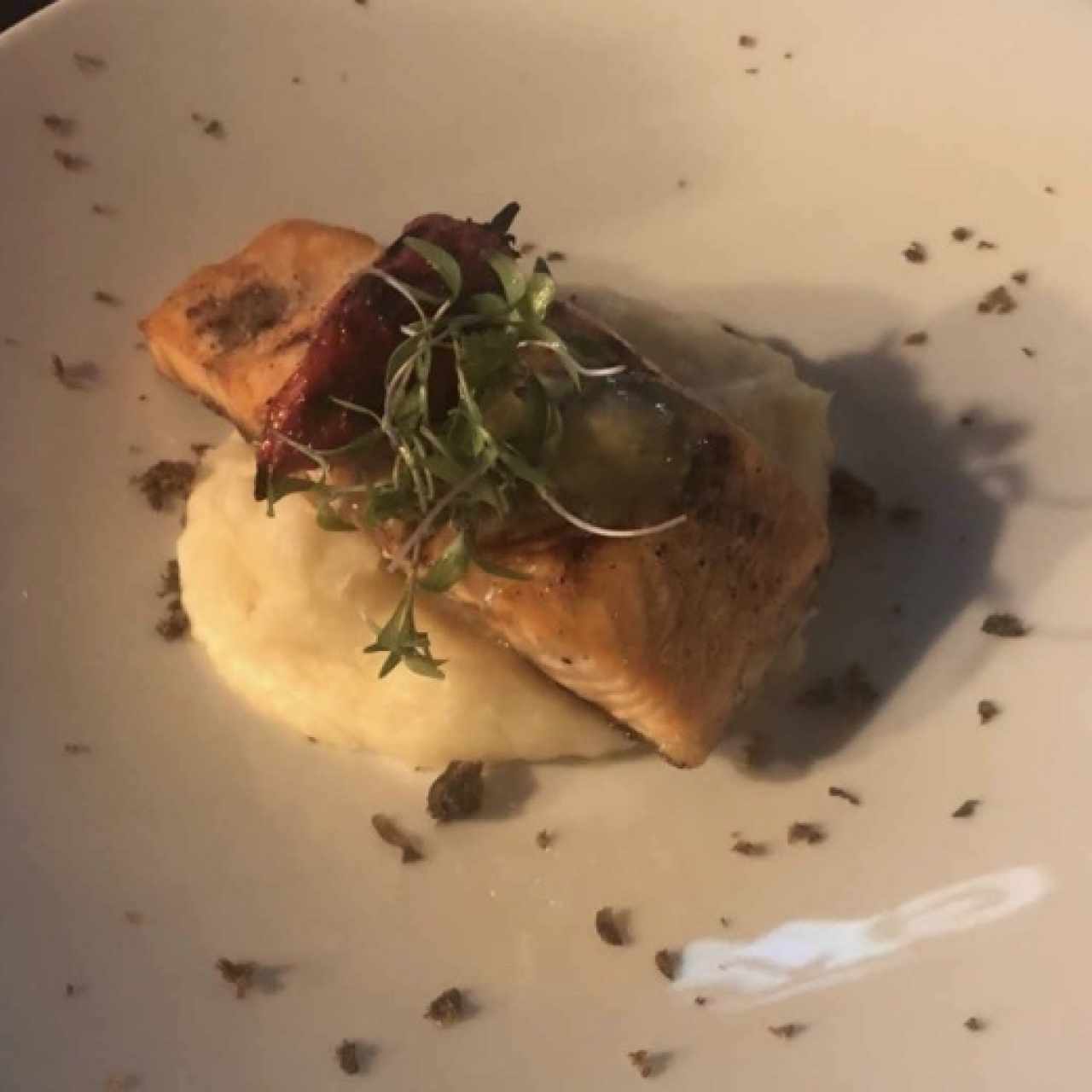 Salmon