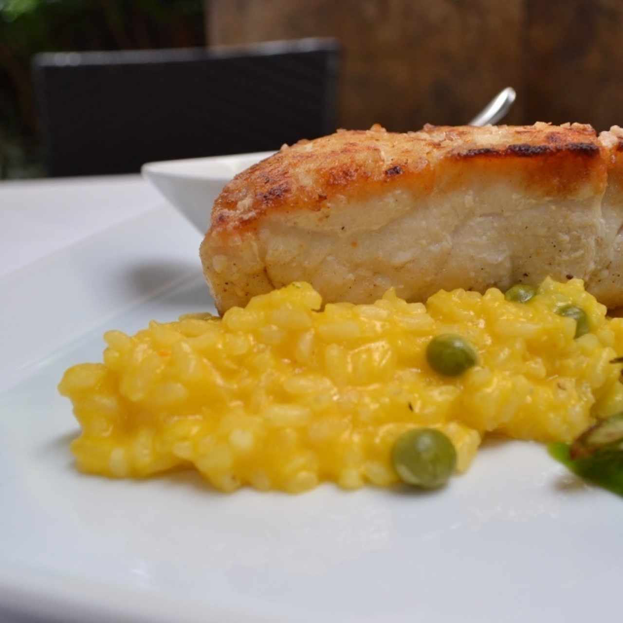Del Mar - 	CORVINA HOLANDESA