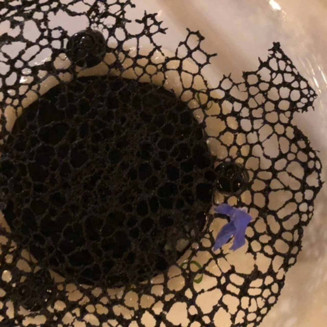 Sepias 