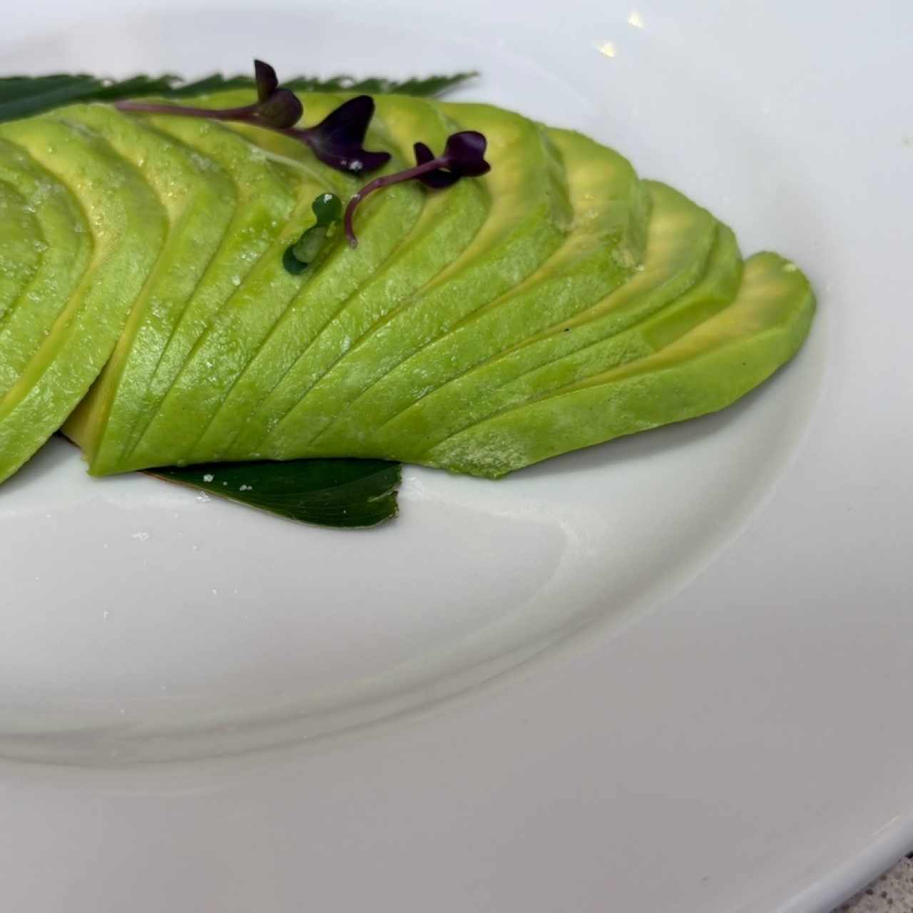Aguacates 