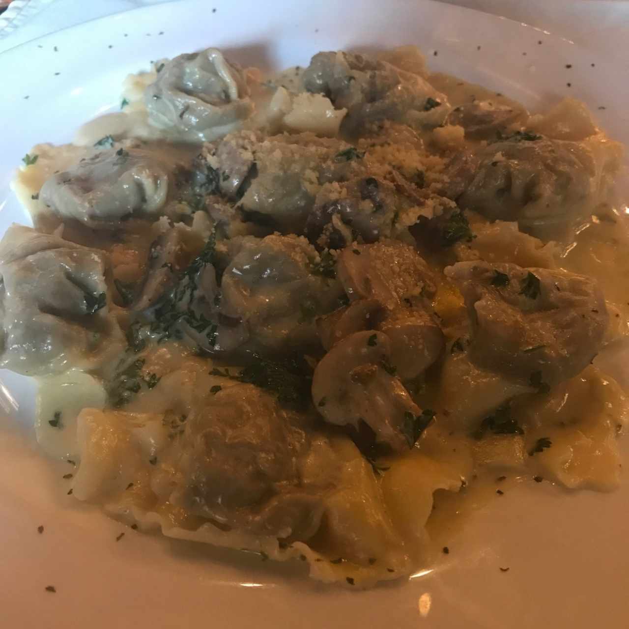 Raviolis de champinon 
