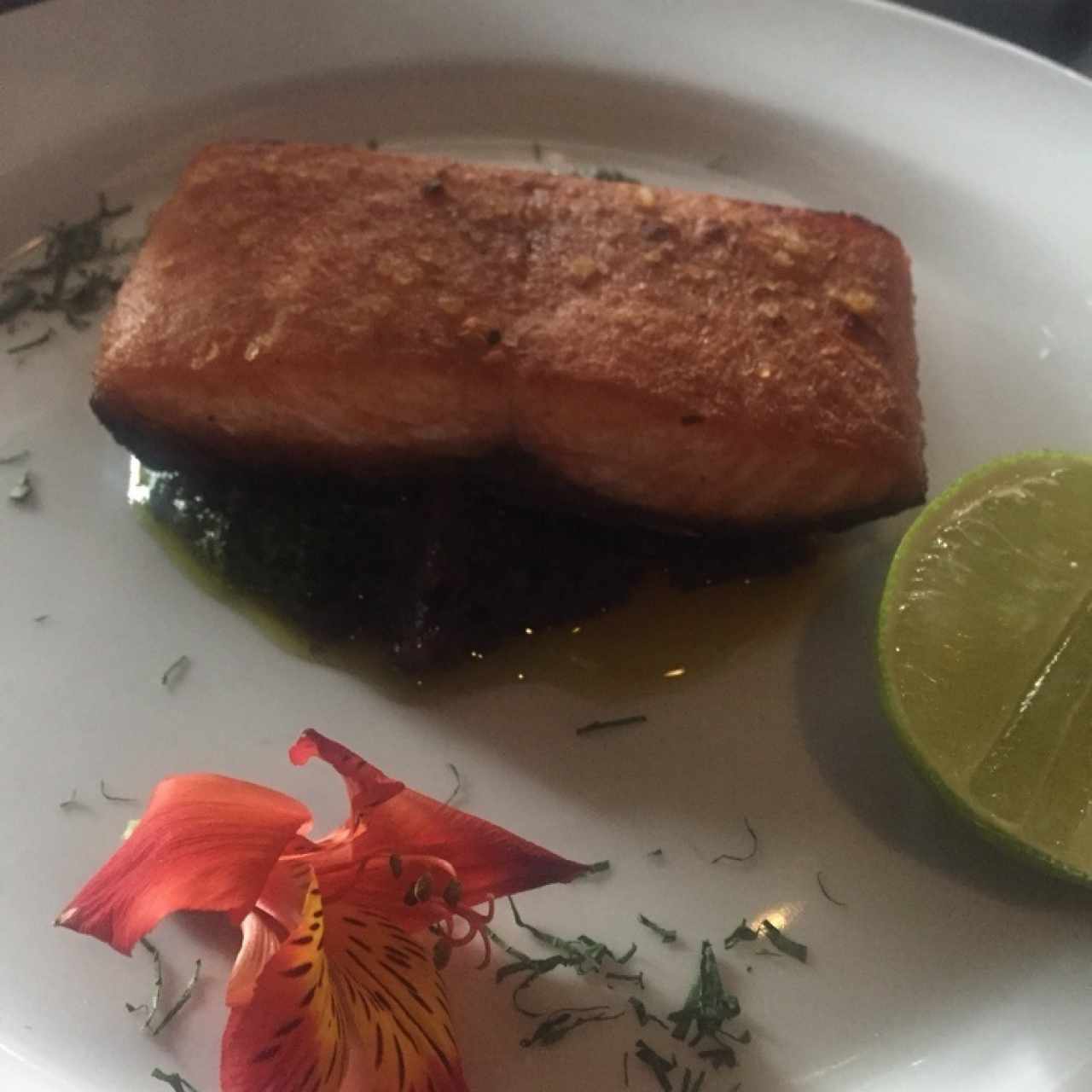 Salmón