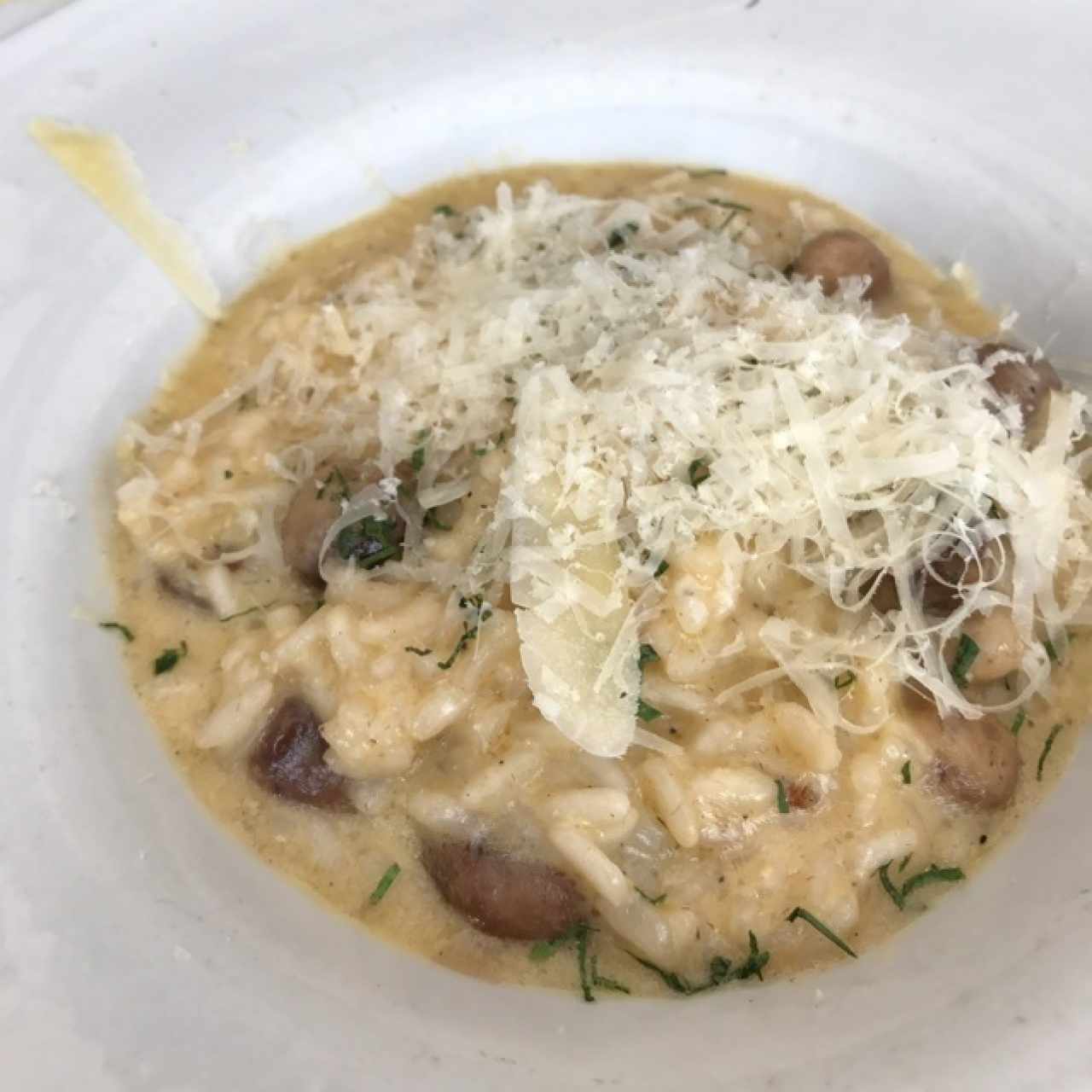 Risotto funghi con queso parmesano