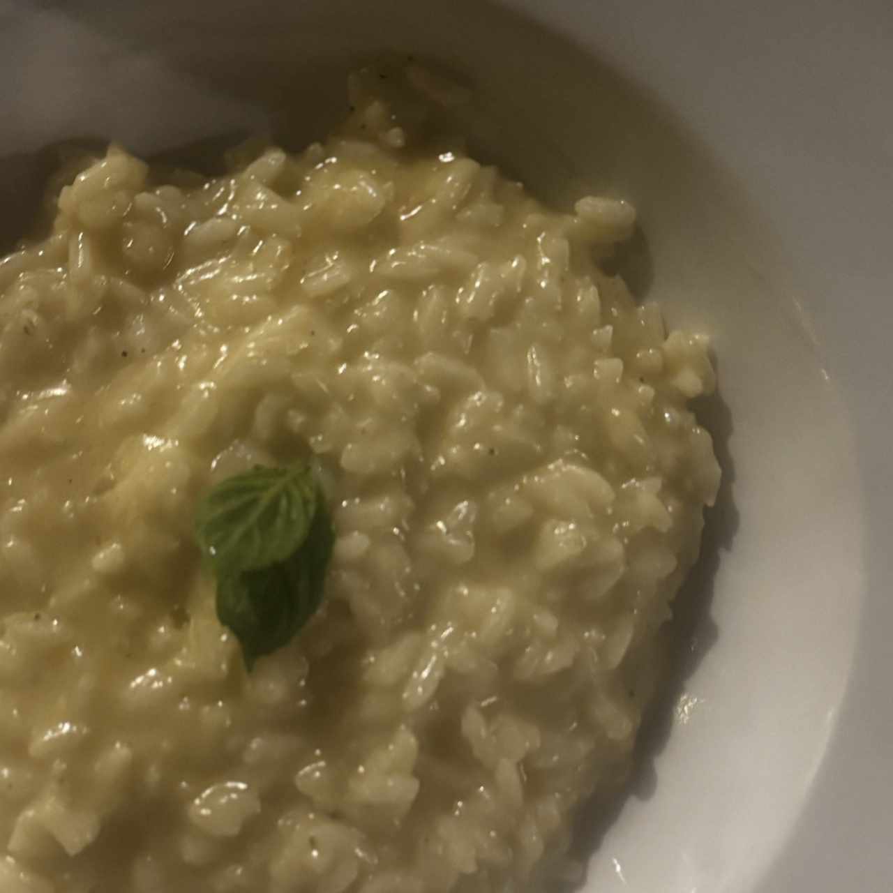 risotto