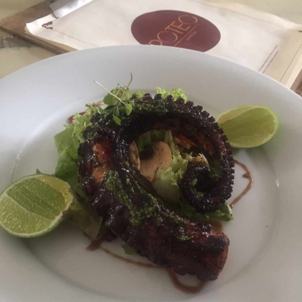 tentaculo de pulpo Poteo